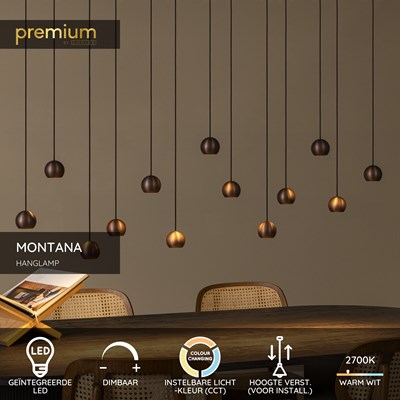 Lucide MONTANA - Hanglamp - LED Dimb. - CCT - 13x5,7W 2700K/4000K - Koffie | Premium